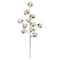 Cotton Stem by Ashland®